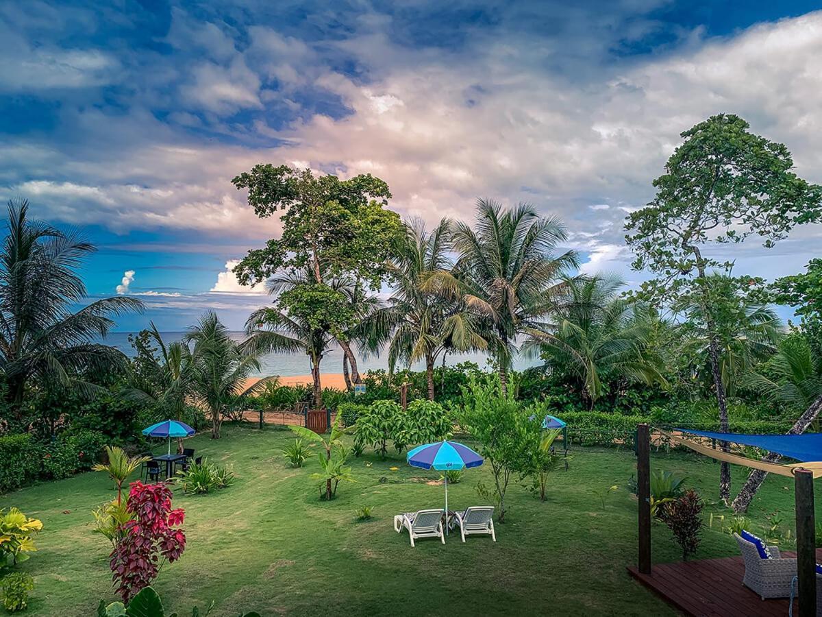 Oasis Bluff Beach Bocas Town Kültér fotó