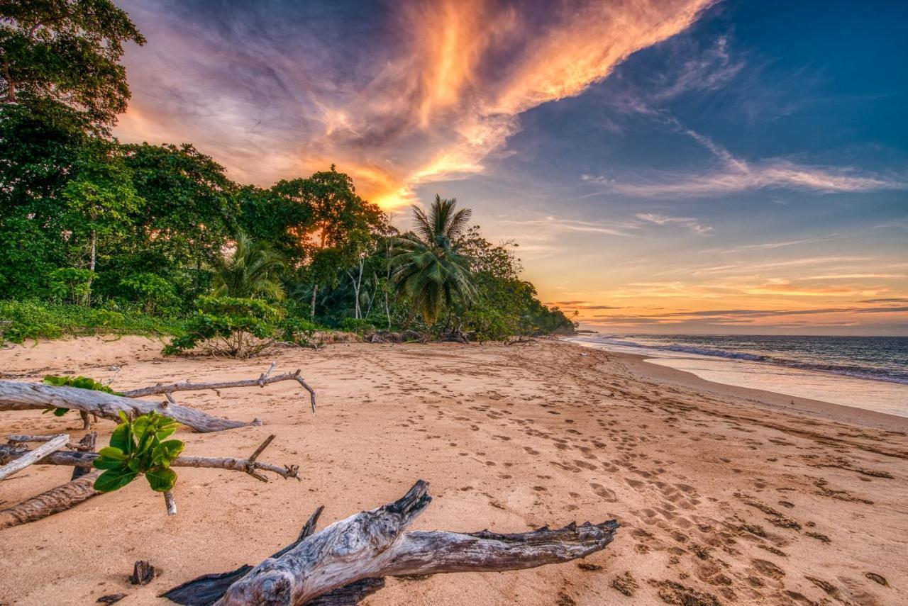Oasis Bluff Beach Bocas Town Kültér fotó
