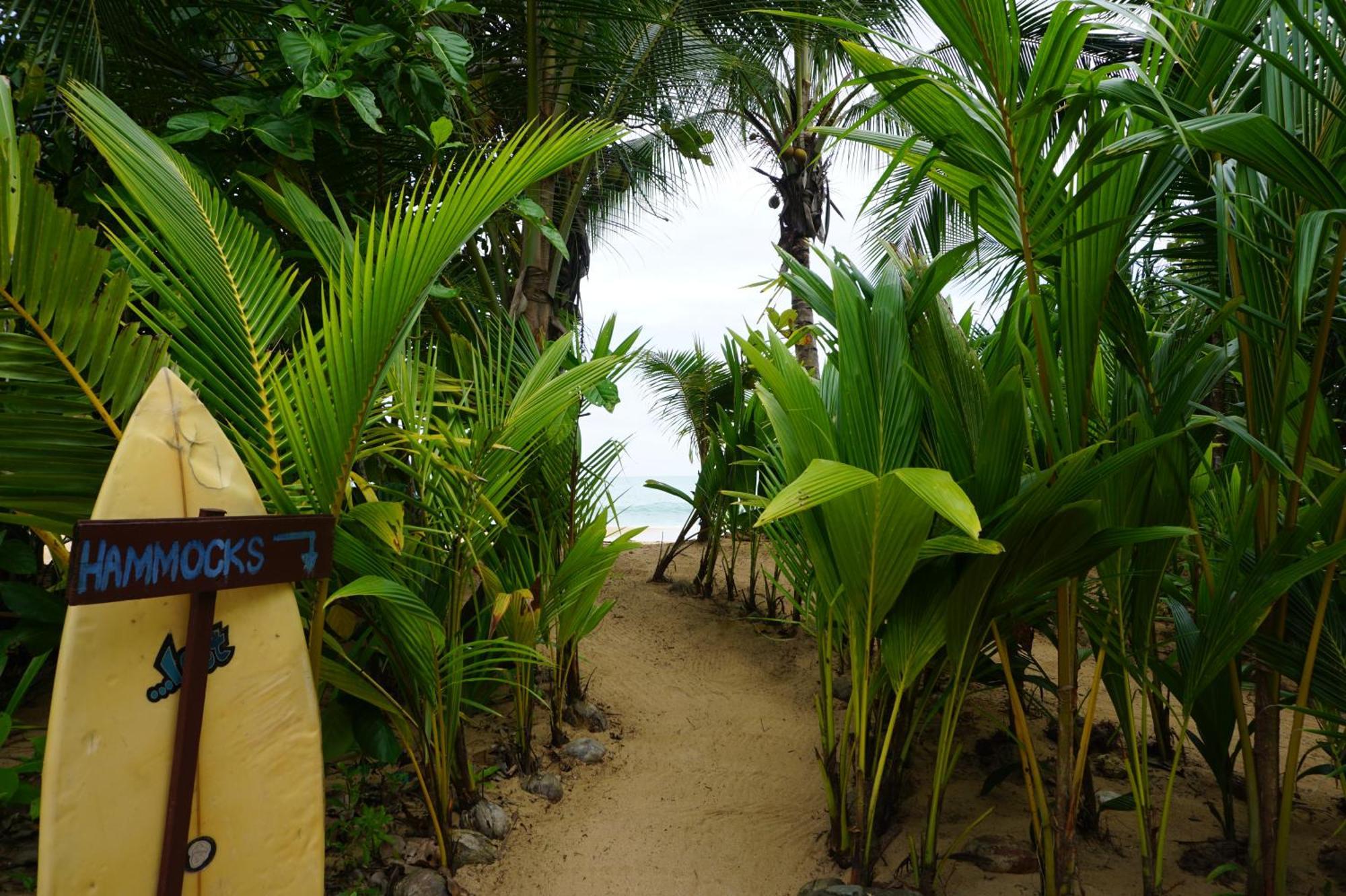 Oasis Bluff Beach Bocas Town Kültér fotó