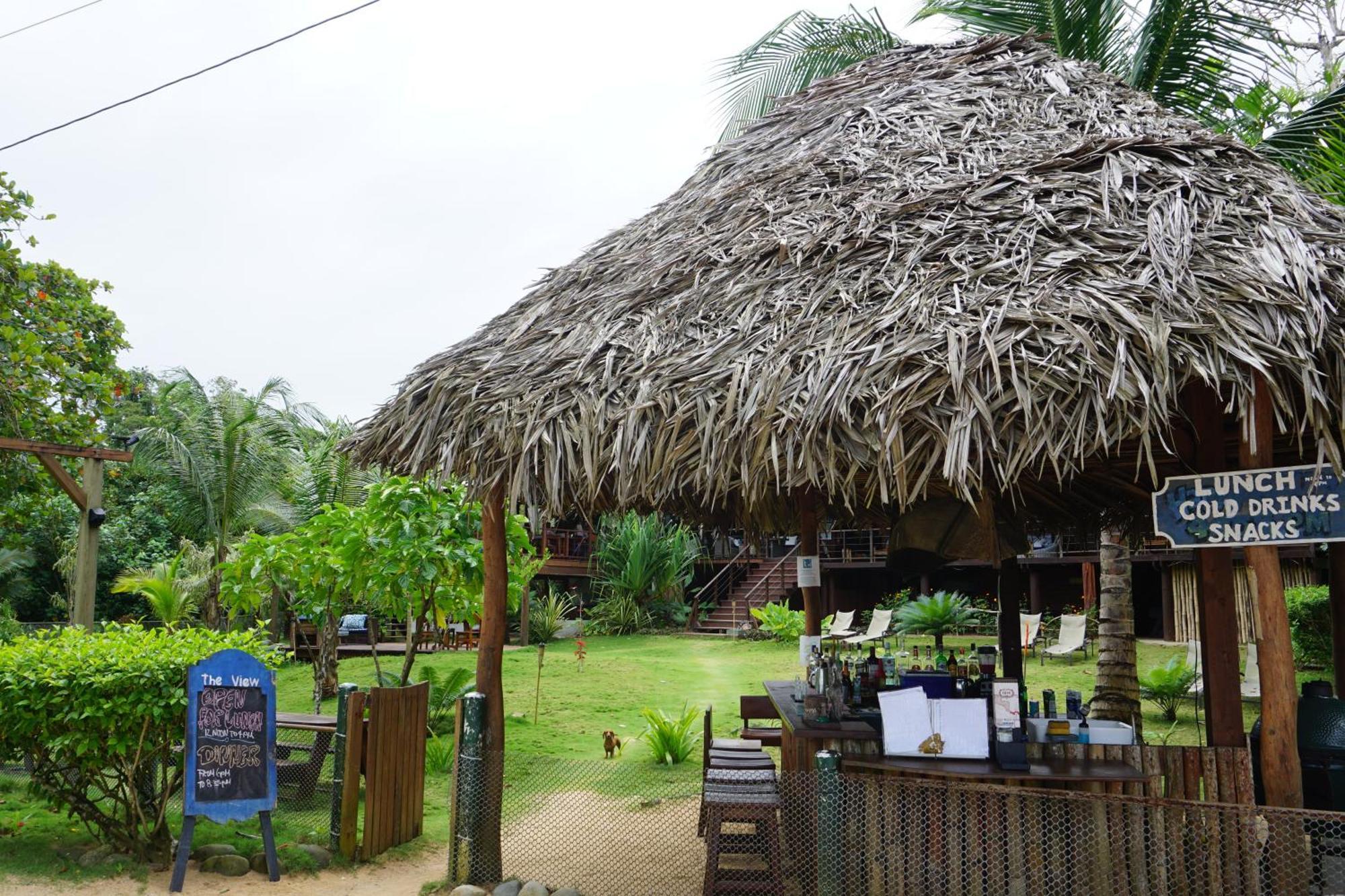 Oasis Bluff Beach Bocas Town Kültér fotó